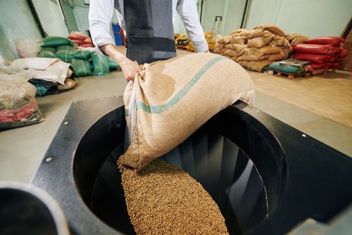 Perdagangan global biji kopi: Jerman menempati urutan kedua dalam impor: tiket harian