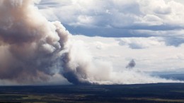 Kebakaran Hutan Alaska (@imago/imagebroker)