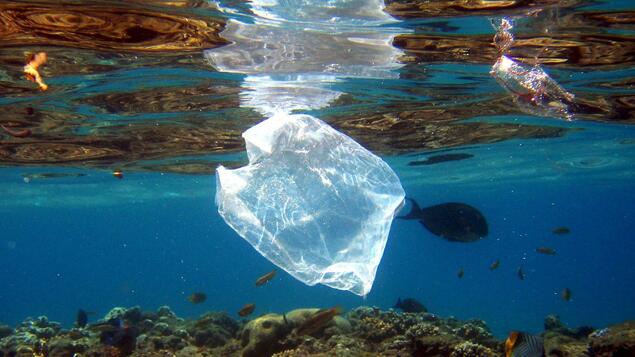 Mengumpulkan 29 Ton Sampah Plastik di Samudra Pasifik: Bangunan Baru Melawan Polusi Laut - Panorama - Society