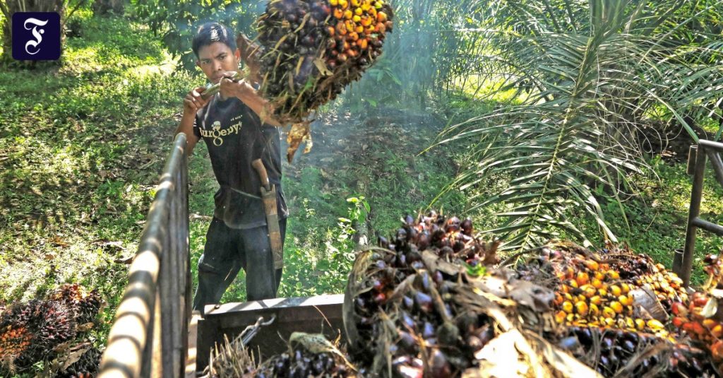 Brussels ingin menghentikan deforestasi dan membatasi ekspor sampah