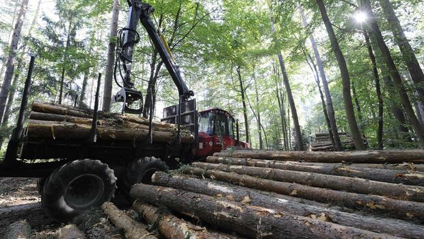 Bagaimana UE ingin mencegah deforestasi