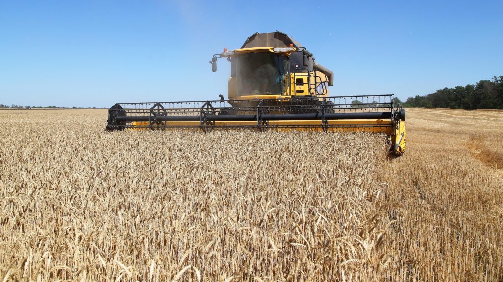 Dari gandum menjadi minyak: berton-ton tersangkut di Ukraina